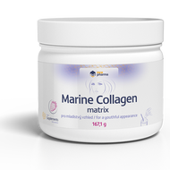Marine collagen matrix